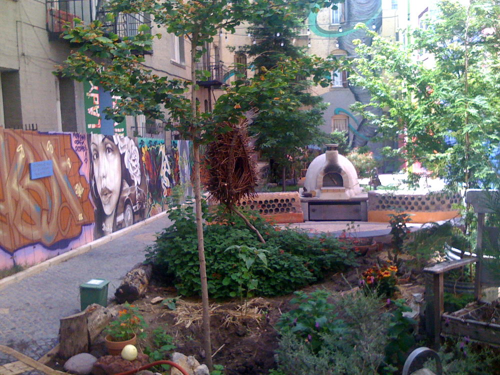 blog-tenderloin-forest