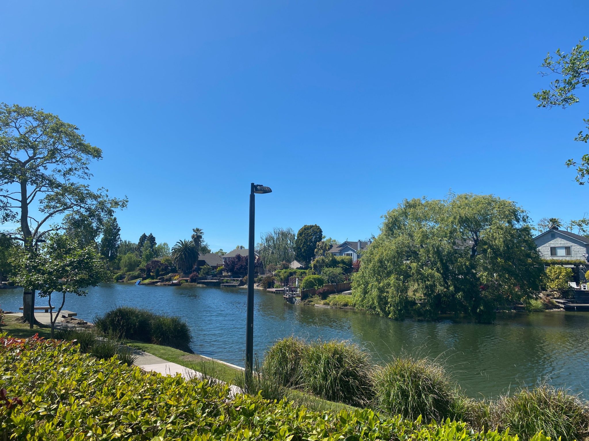 Alameda Neighborhood Photo 1