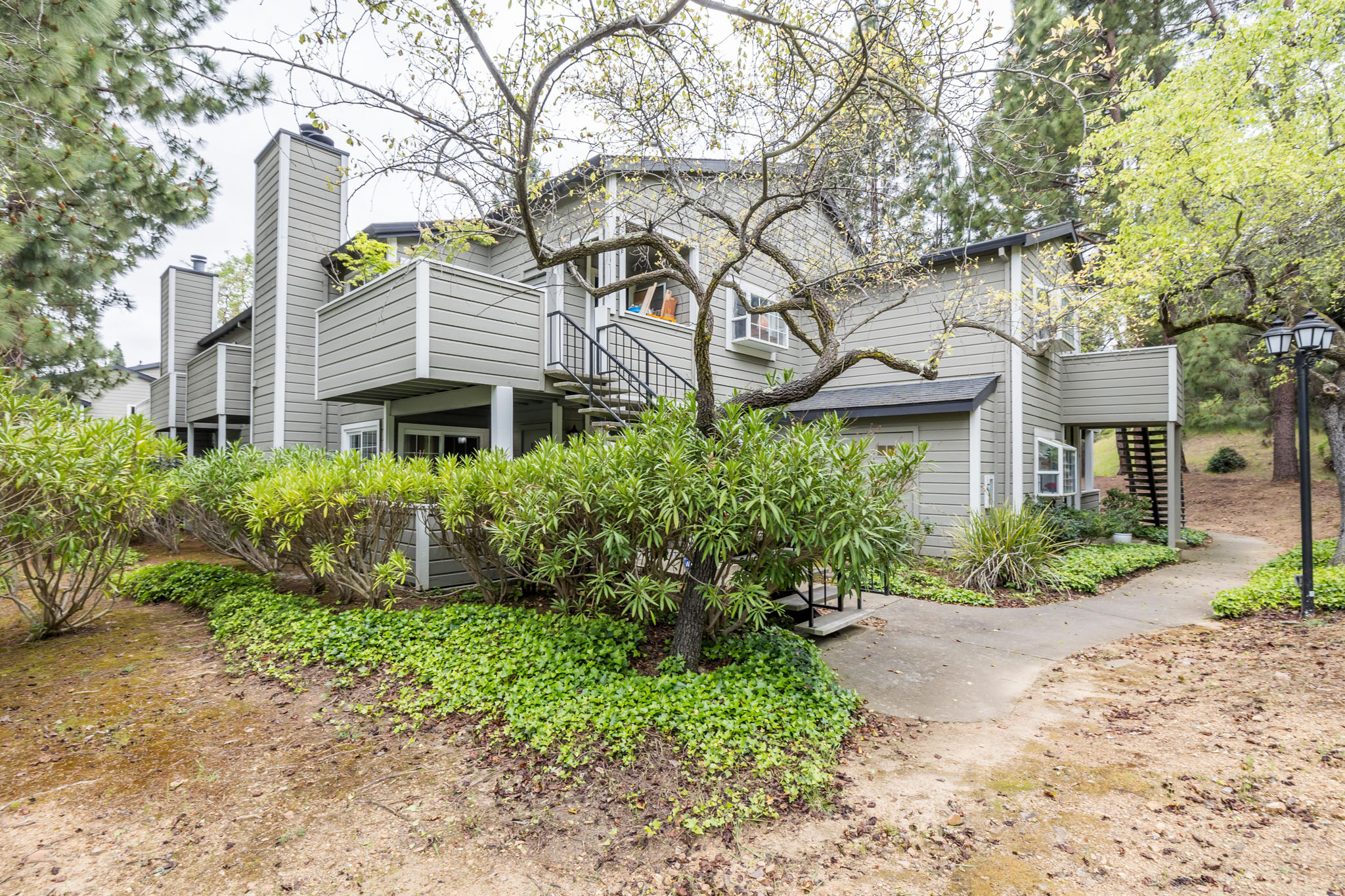 Eastmont Hills Neighborhood Photo 3