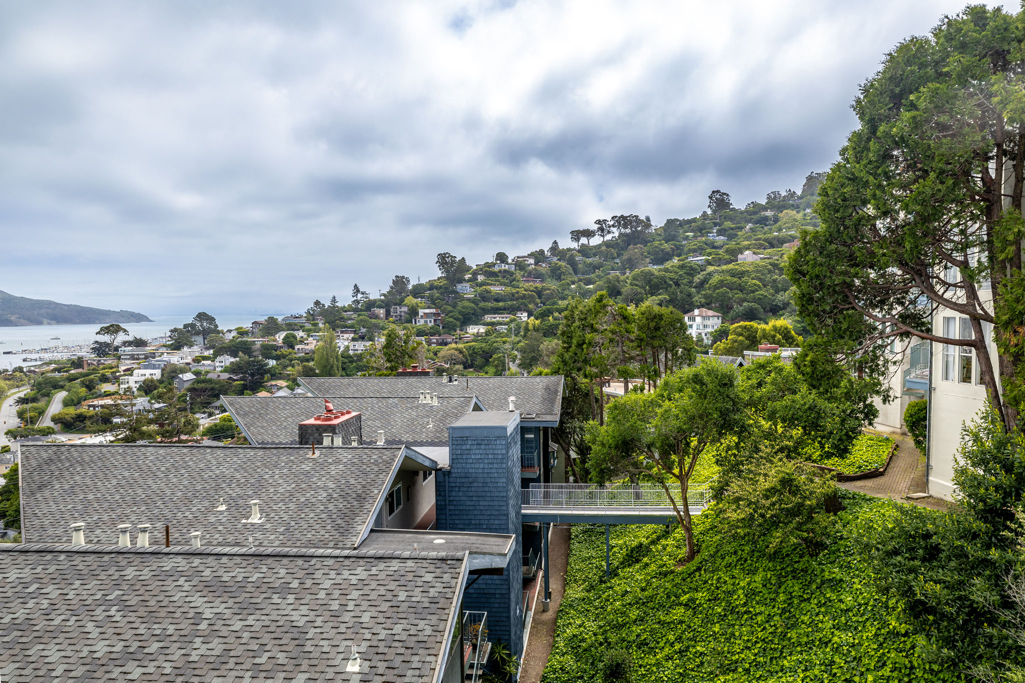 Sausalito Neighborhood Photo 2