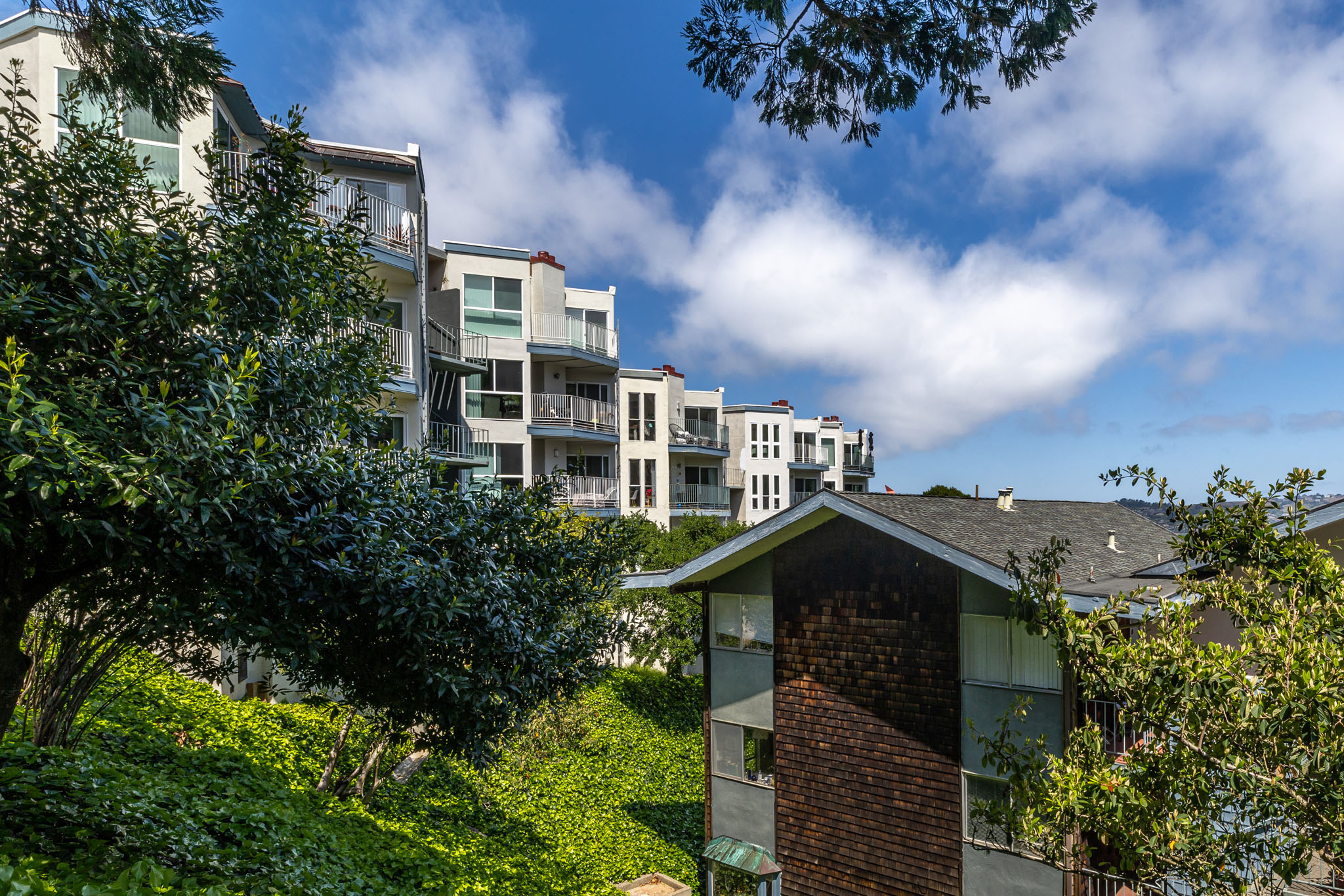 Sausalito Neighborhood Photo 6